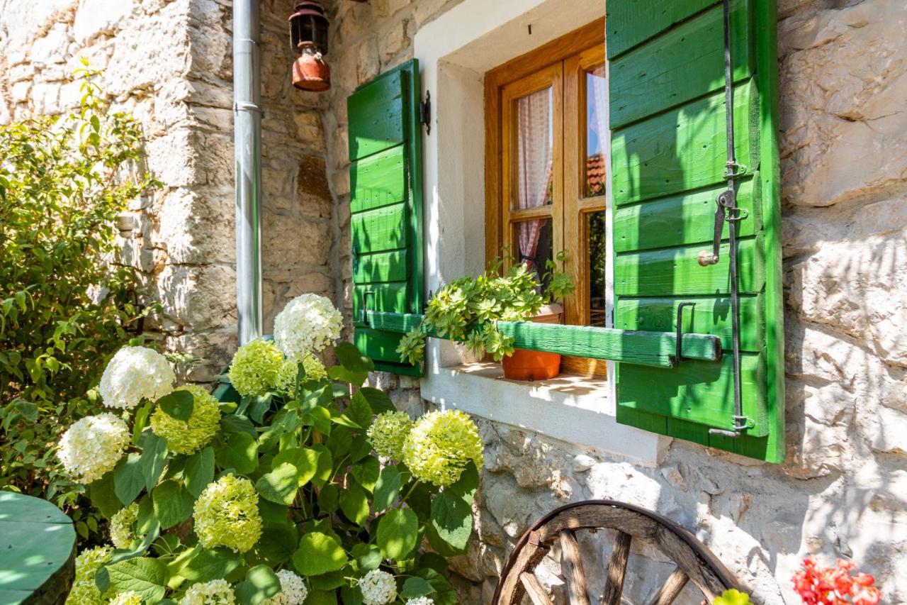 Marcelovi Dvori Bed & Breakfast Pirovac Dış mekan fotoğraf