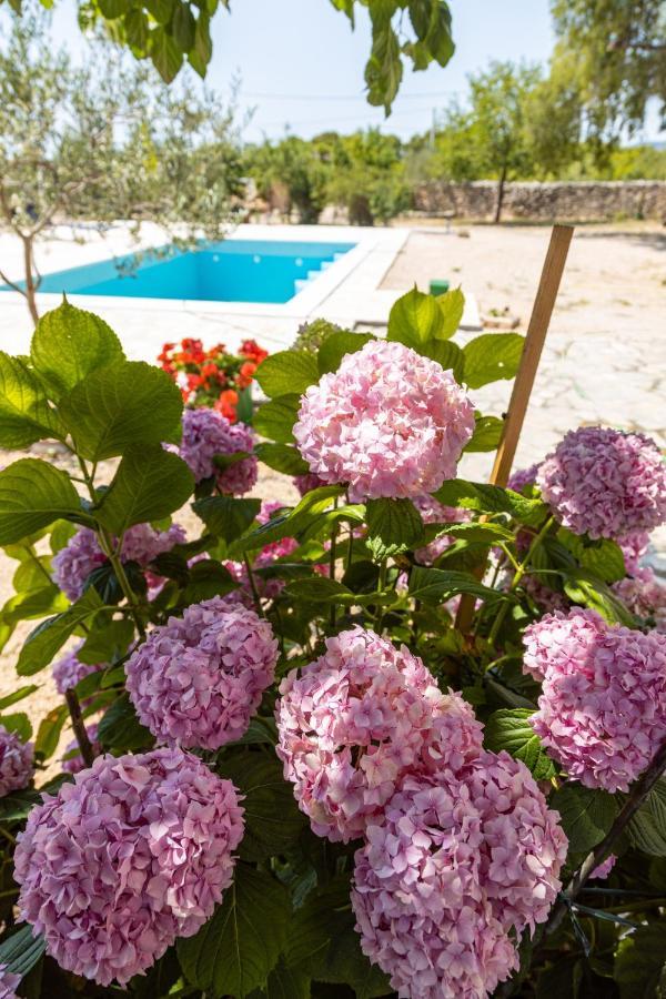 Marcelovi Dvori Bed & Breakfast Pirovac Dış mekan fotoğraf